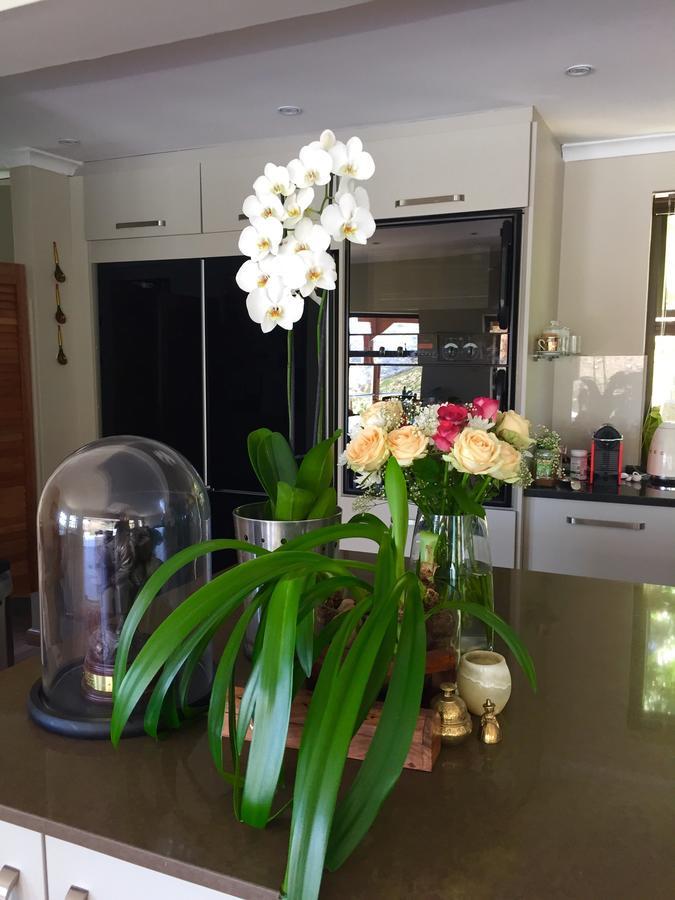 Bed and Breakfast Protea Point Ciudad del Cabo Exterior foto